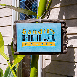 Sandii’s Hula Studio サンディーズ フラスタジオ